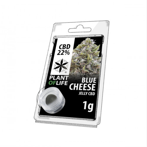 Comprar Gelatina de queso azul CBD 22