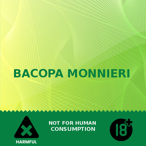 BACOPA MONNIERI - Nootropika