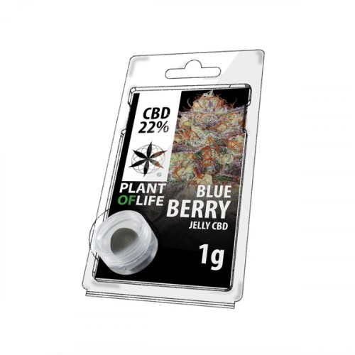 Cumpără Blueberry Jelly Hash CBD 1g România