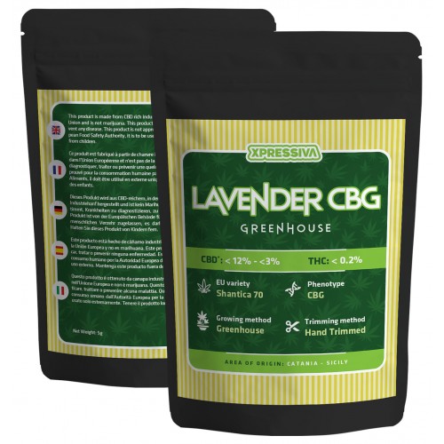 Buy Lavender CBG Flower 5g